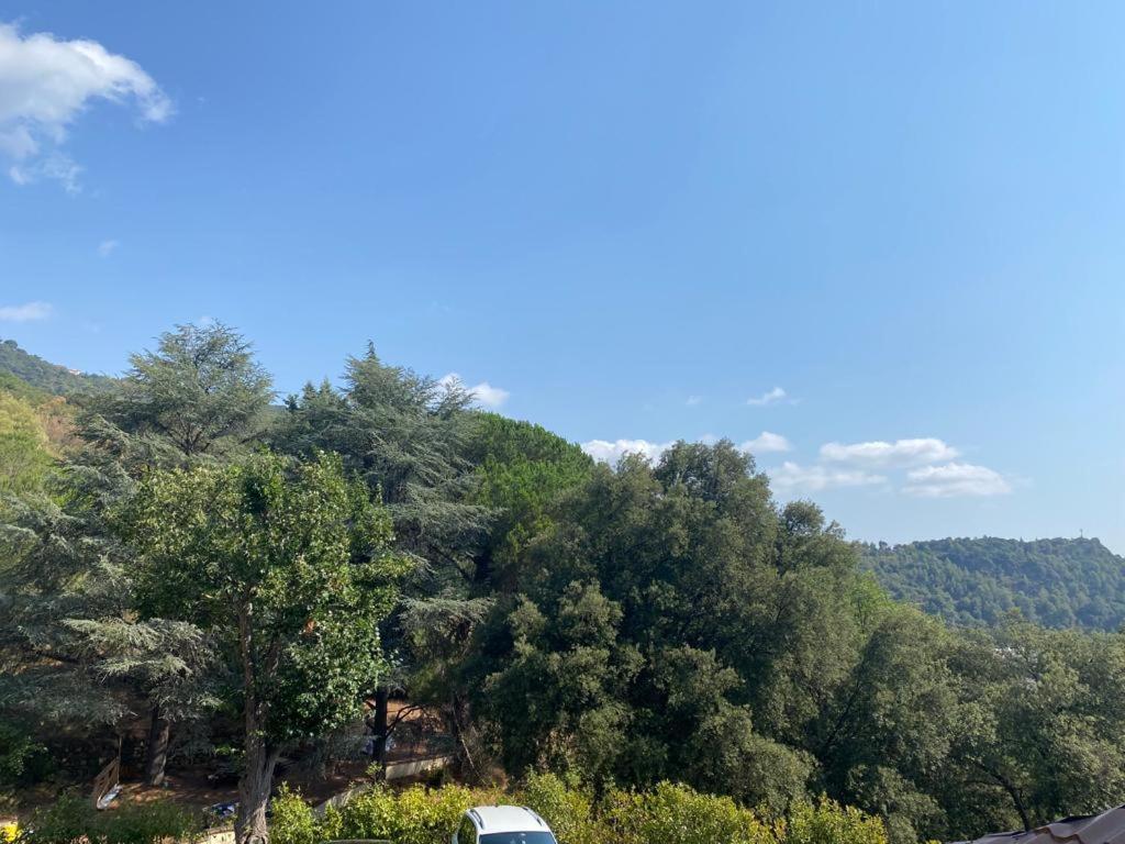 Domaine Des Anges Aparthotel Amélie-les-Bains-Palalda Kültér fotó